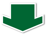 niz1